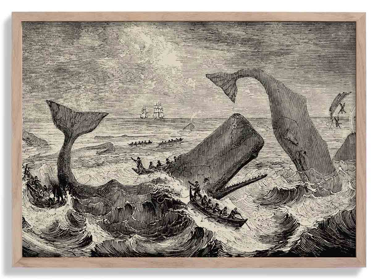 Szene Moby Dick