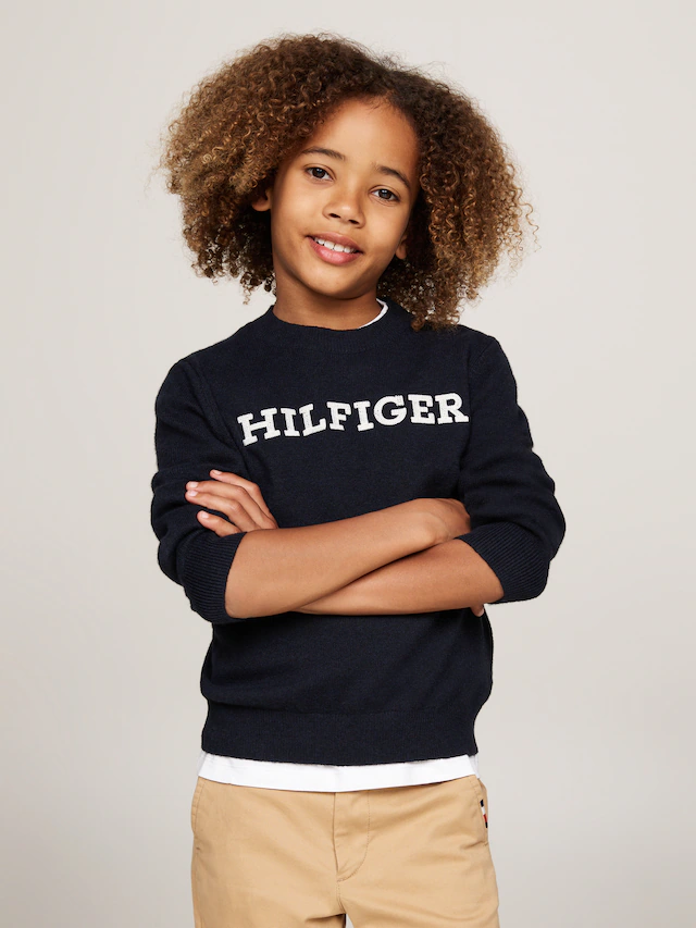 Tommy Hilfiger Strickpullover »MONOTYPE REGULAR SWEATER« mit aufgesticktem Logo