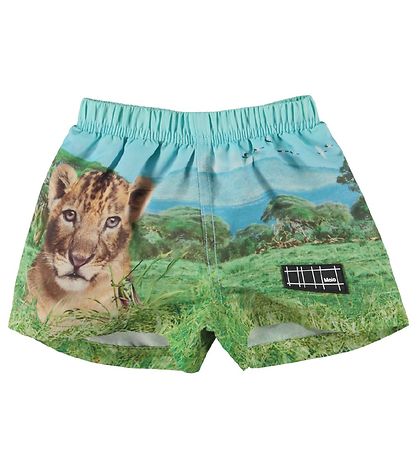 Molo Bådeshorts - UV50+ - Newton - Lion Cub