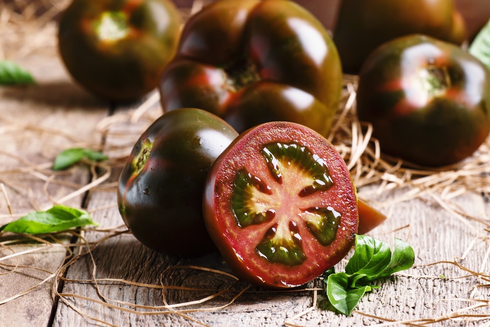 Bio - tomate - cerise noire - 10 graines - avec substrat - solanum lycopersicum