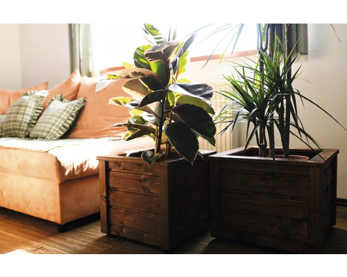 Houten plantenbak 43 x 43 x 38 cm, kastanje