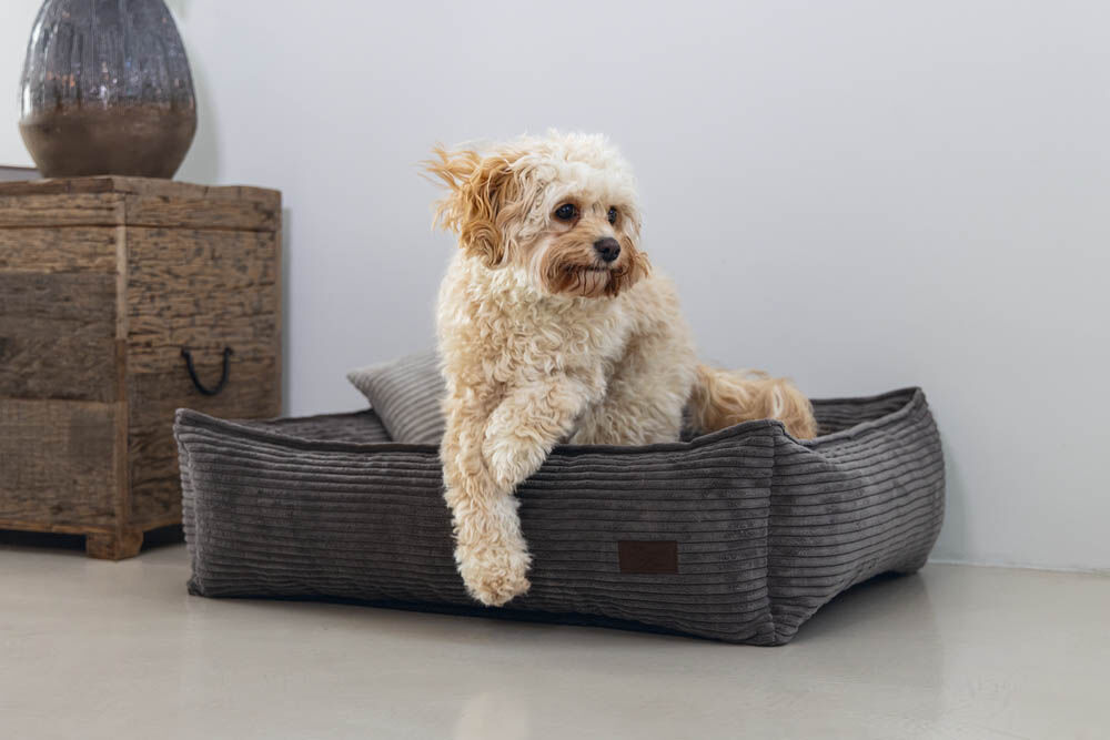 Designed by Lotte Ribbed - Hondenmand - bruin - 20x60x65 cm - S