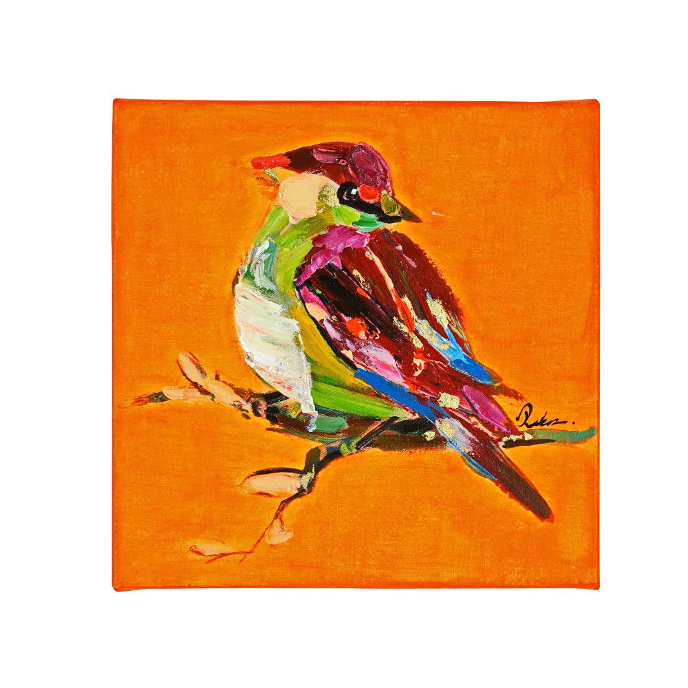 Bild BIRDY