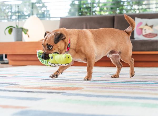 Red Dingo Hundespielzeug DURABLES Toys