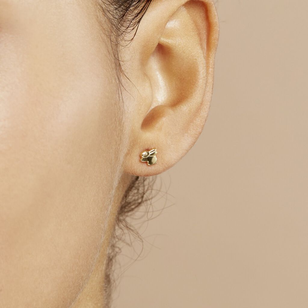 Boucles D'oreilles Puces Lapin Or Or Jaune