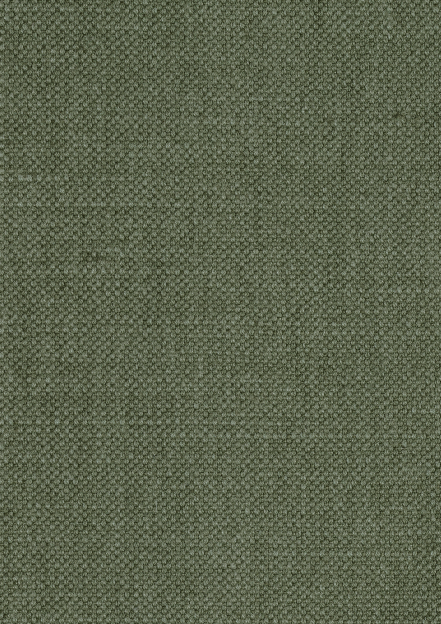 3-zitsbank Flash shadow turtle