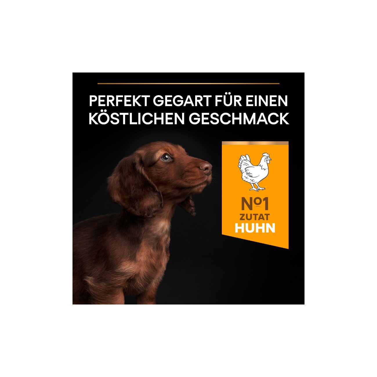 PRO PLAN Puppy Small & Mini Healthy Start Huhn 3kg