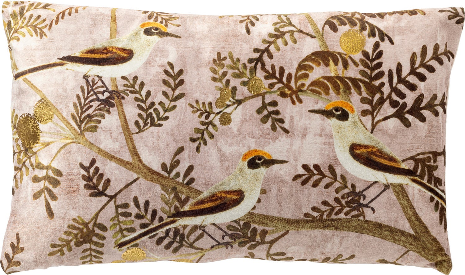 Dutch Decor sierkussen Birdy beige 30 x 50 cm