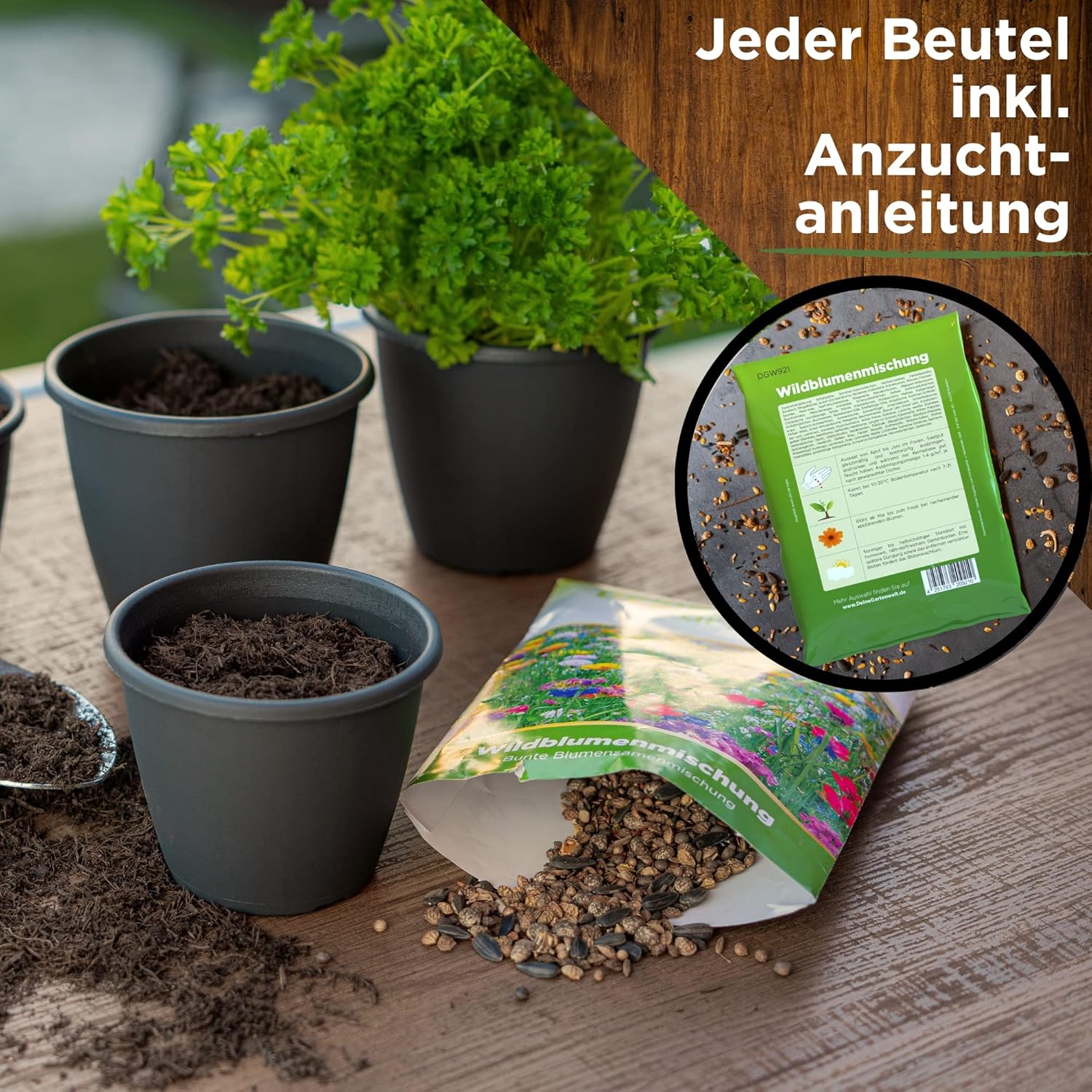 Wildblumenmischung - 10 kg Samen für Wildblumenwiese - Saatgut für bunte Blumenwiese
