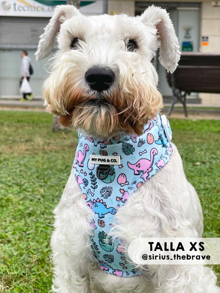Coleira ajustável Doggysaurus