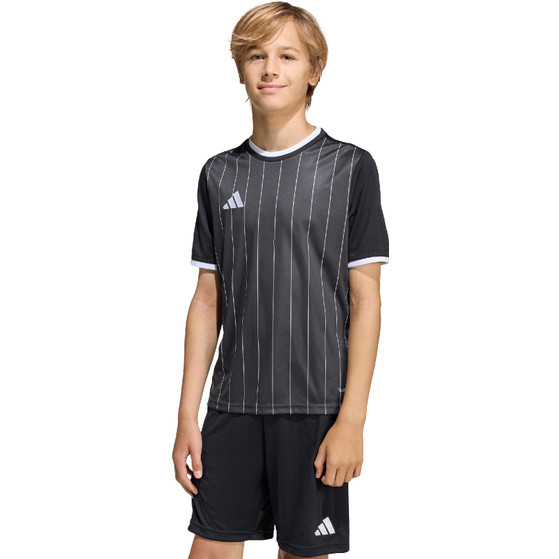 adidas Entrada 26 GFX Trainingsset