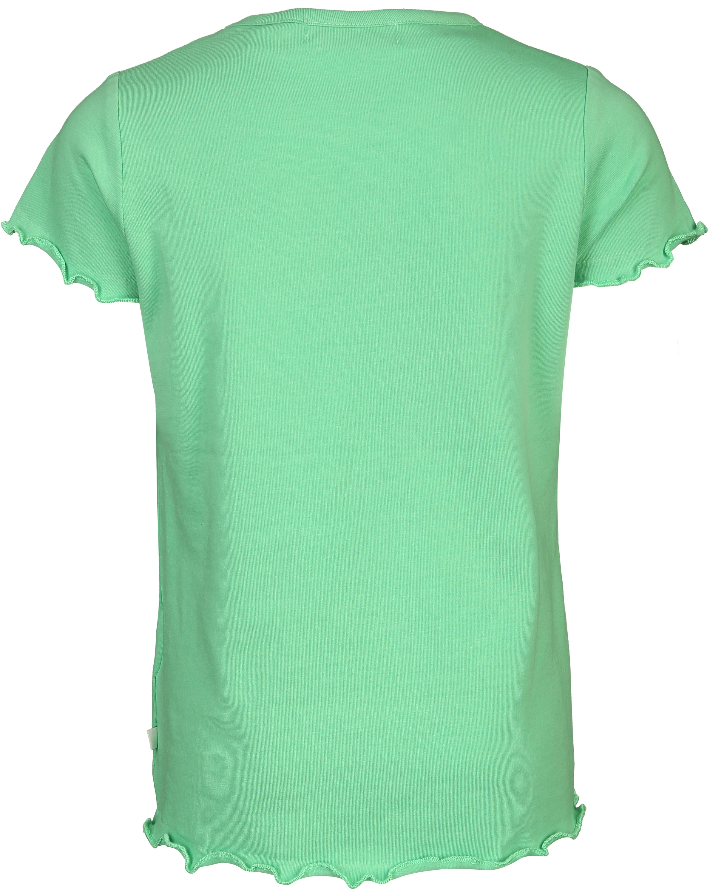 T-Shirt KOLIBRI in grün