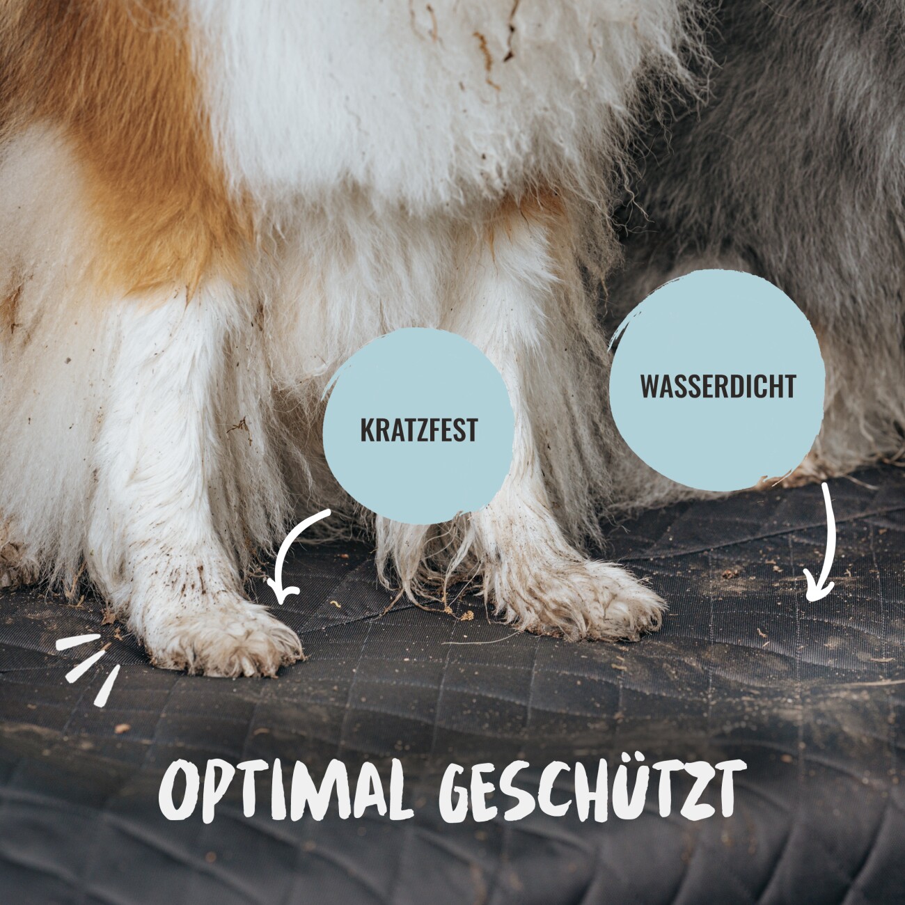 Rudelkönig Kofferraumschutz – Autoschondecke für Hunde