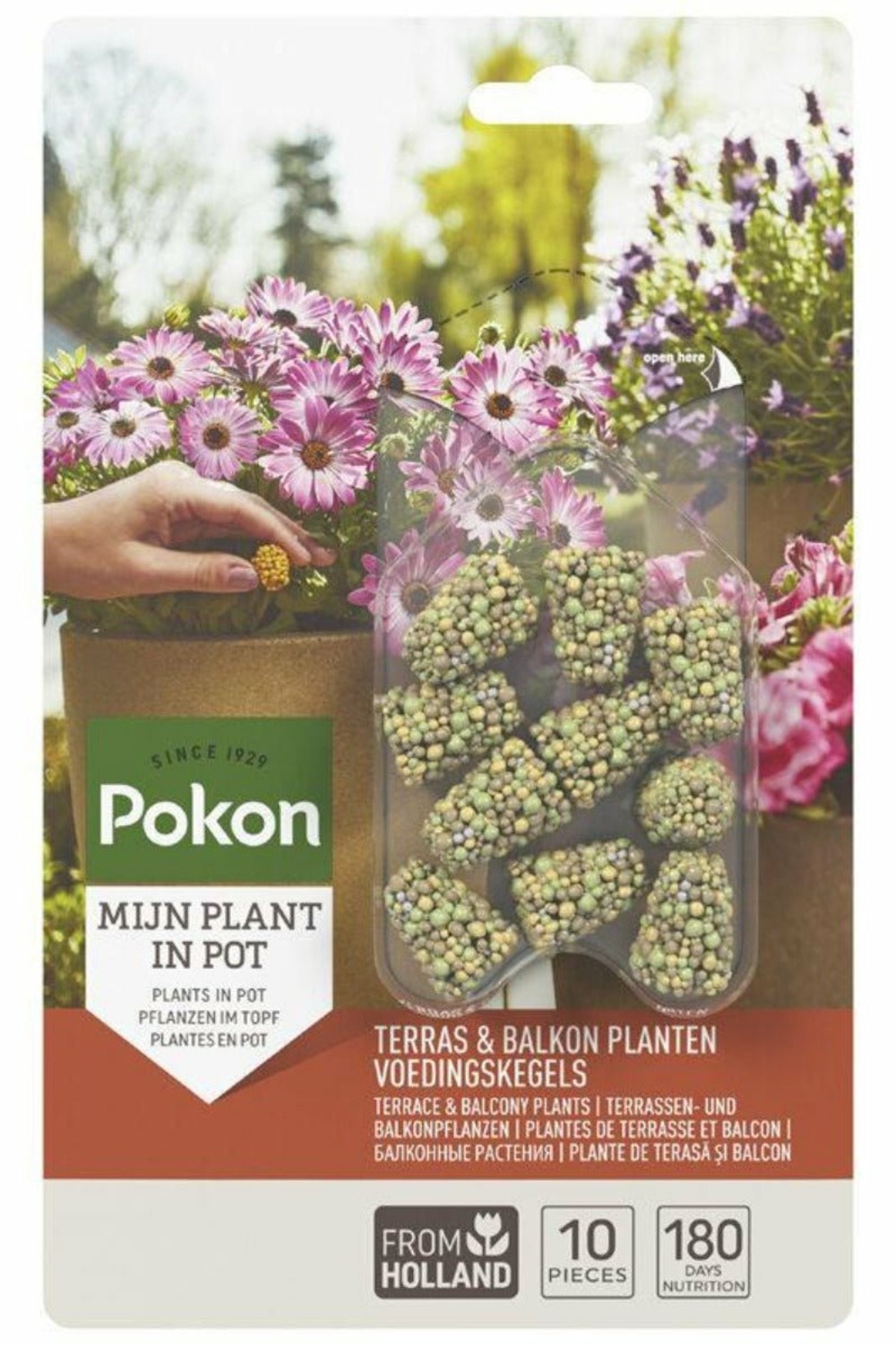 Cônes nutritionnels pour plantes de terrasse et balcon - 10 pièces