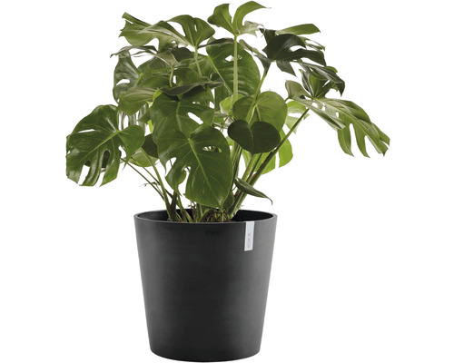 Ecopots Amsterdam plantenpot, kunststof, Ø 60 cm, H 54,8 cm, donkergrijs