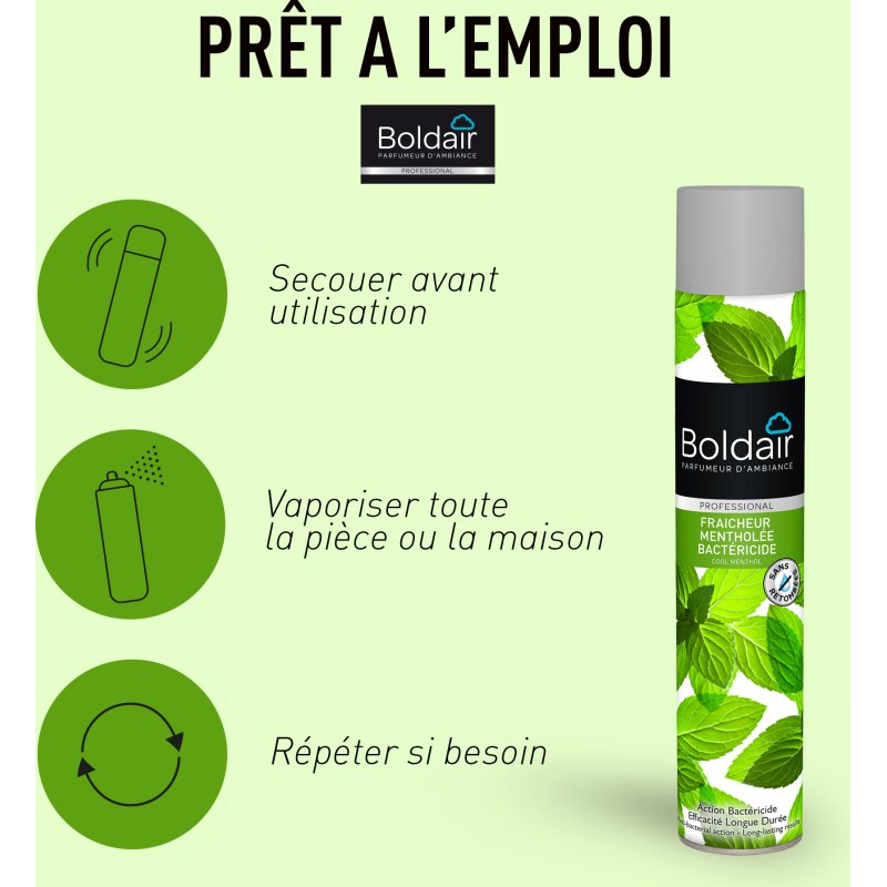 Désodorisant professionnel Boldair fraîcheur mentholée – Aérosol de 500 ml