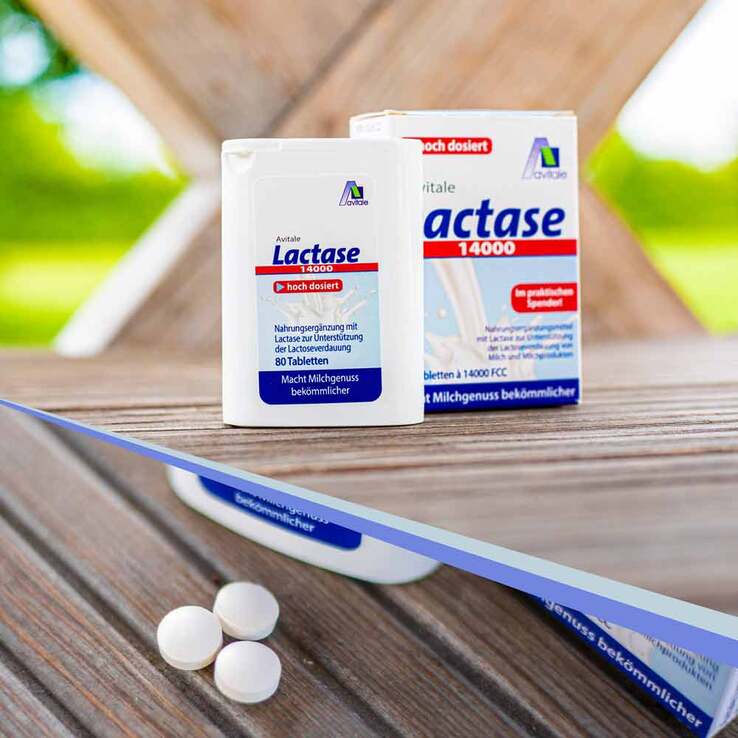 Lactase 14000 FCC Tabletten im Spender, 80 St