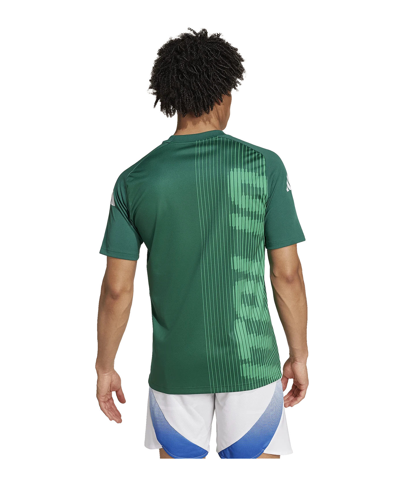 adidas Italien Prematch Shirt Grün