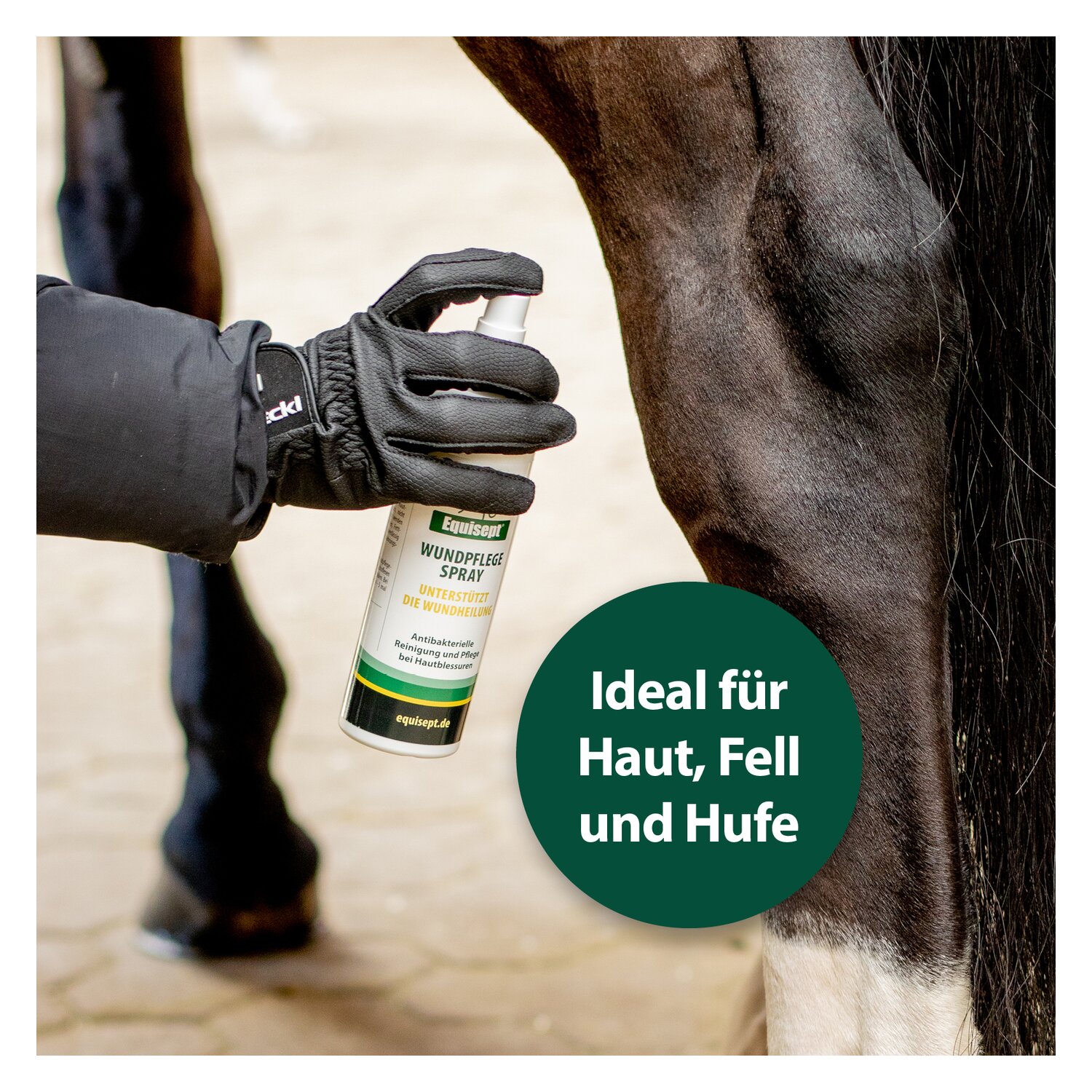Equisept Wundpflegespray  - 250 ml