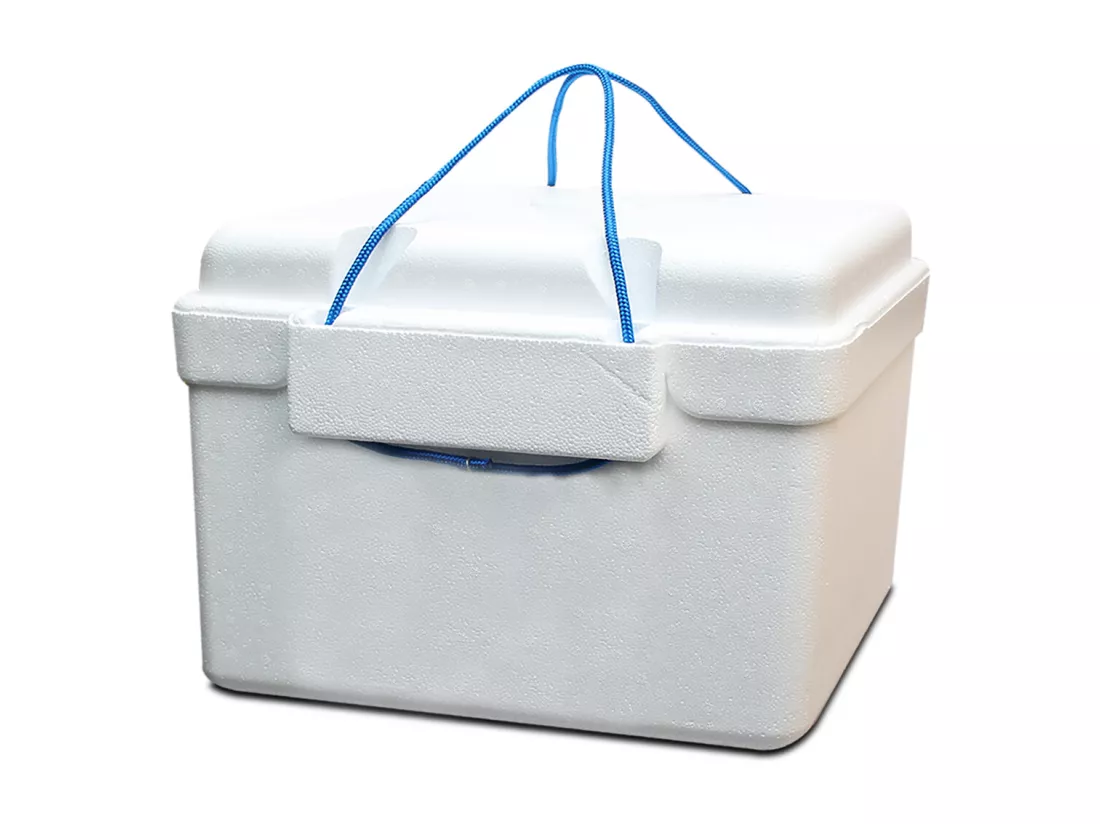 Glacière, réfrigérateur, refroidisseur en polystyrène coloris blanc, capacité 26 L - Longueur 45 x Profondeur 31 x Hauteur 33 cm