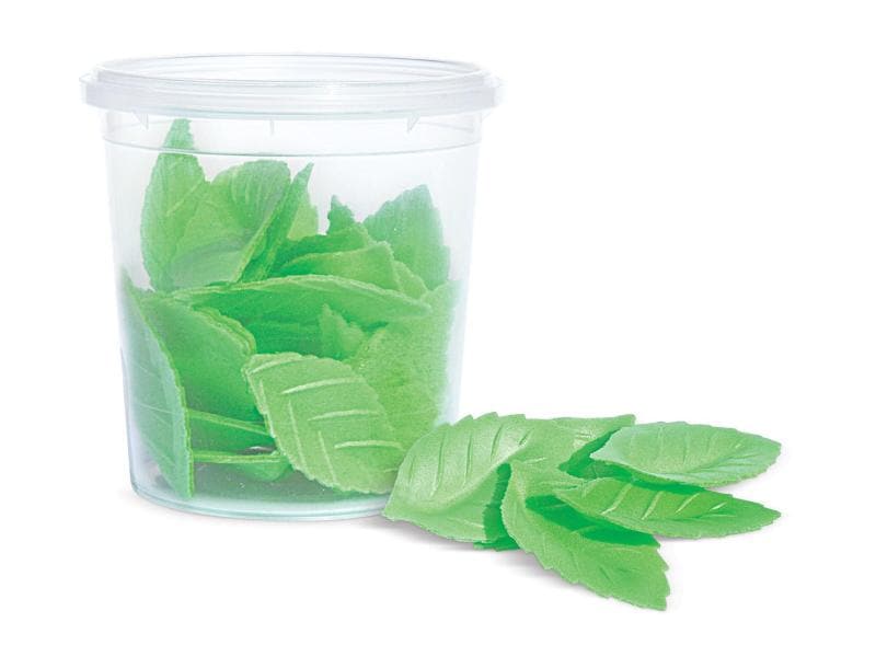 ScrapCooking Zuckerdekore Blätter 24 Stück Knusprig süsse Dekoration