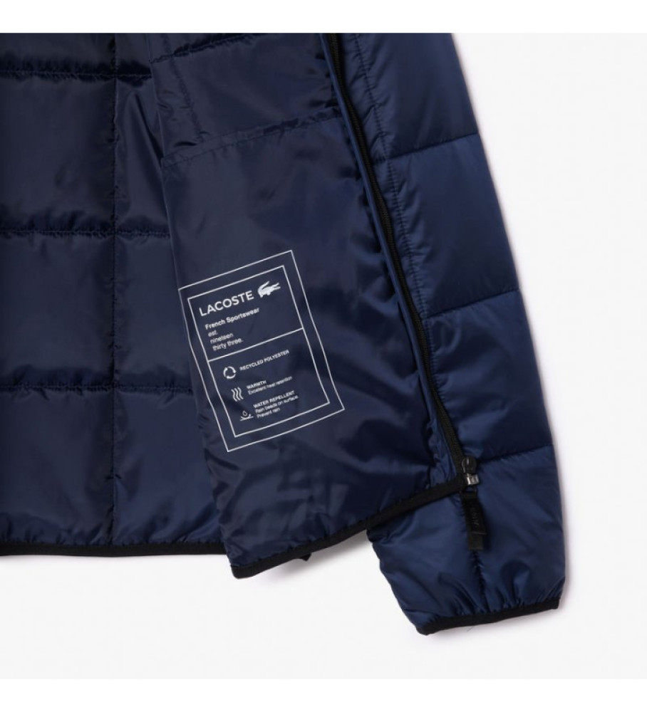 Casaco acolchoado azul Lacoste