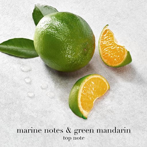 Armani Acqua Di Giò Eau De Parfum, 100 ml