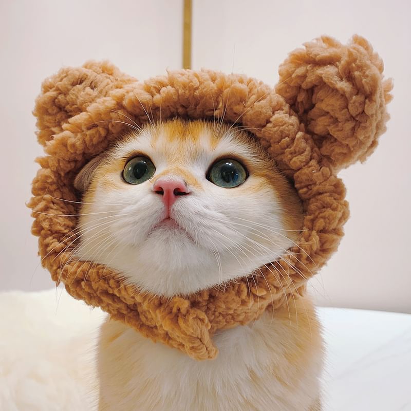tanvtim - Animal Ear Chenille Pet Hat (verschillende ontwerpen)