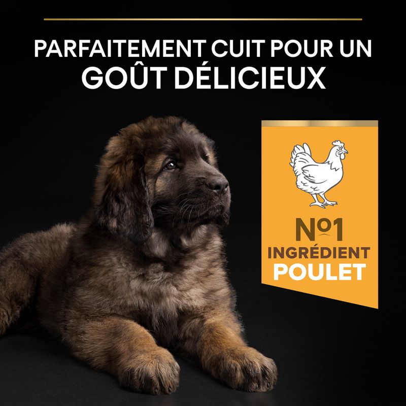 PURINA PRO PLAN Large Robust Puppy Healthy Start