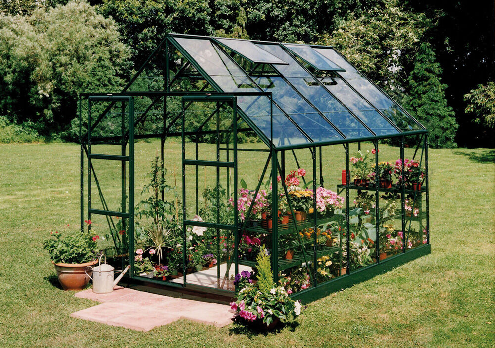 Halls Magnum 108 - Tuinkas - Groen - 258x257x322 cm - Veiligheidsglas