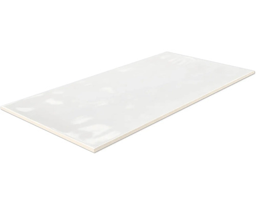 Steengoed Metrotegel Loft wit 10x20x0,7 cm glanzend