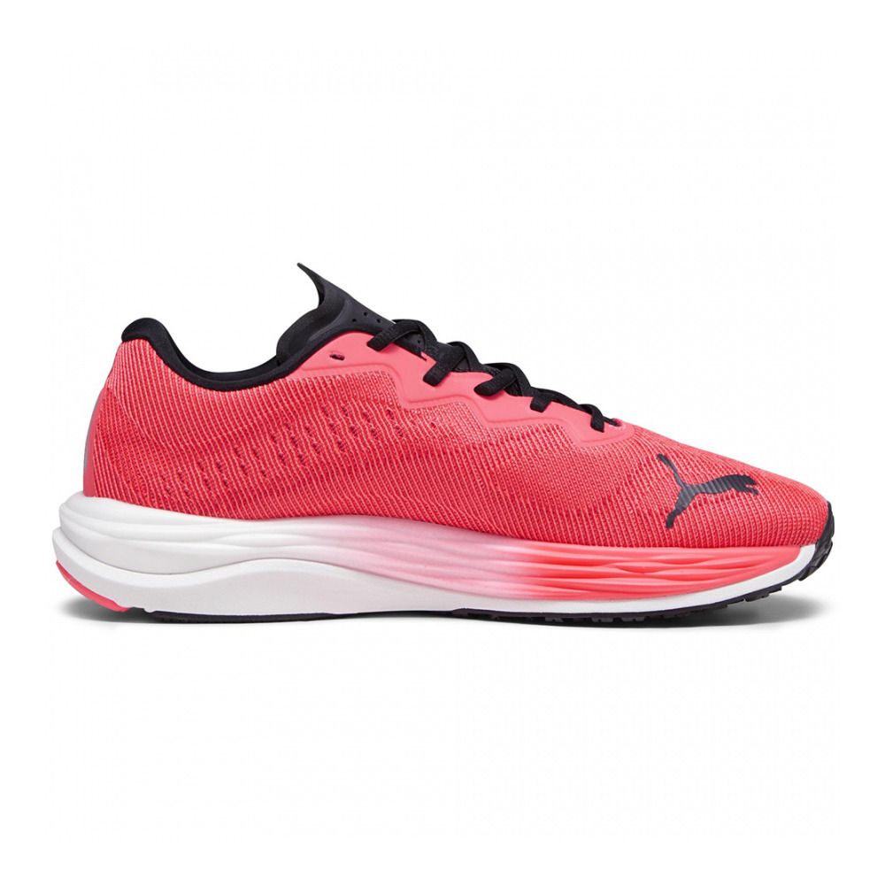 Puma VELOCITY NITRO 2 - Chaussures running Homme fire orchid/puma black