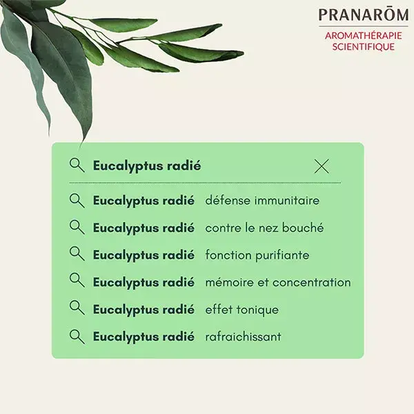 Óleo Essencial de Eucalipto Radiata Orgânico Pranarom 10ml