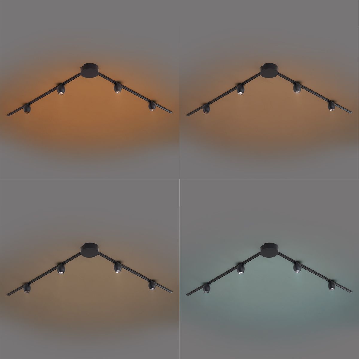 Modern railsysteem met 4 spots zwart 1-fase - Magnetic Zagaye