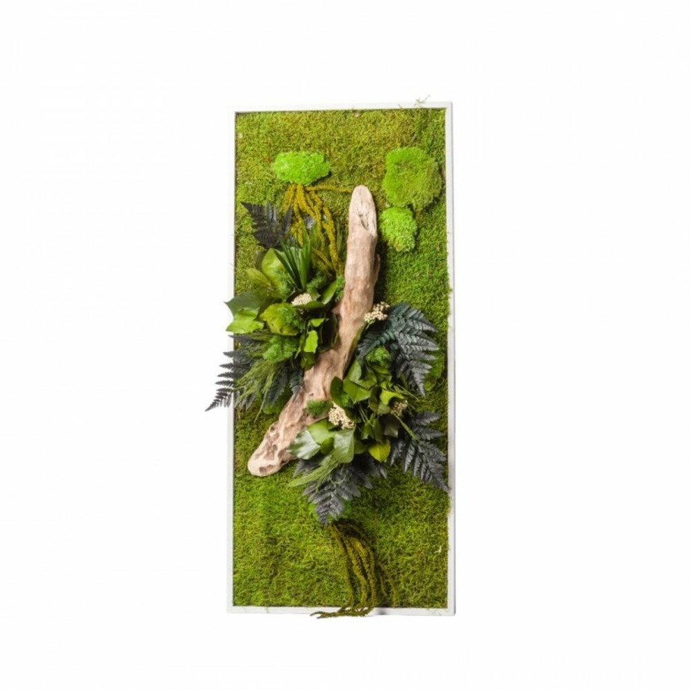 Stab nature - cadre blanc - rectangle l 40x90