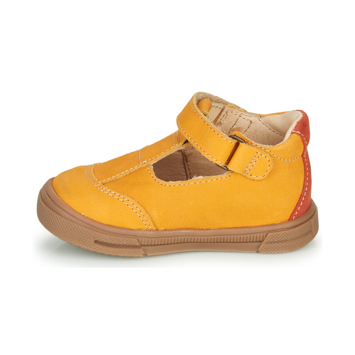 GBB - ARENI - Jaune