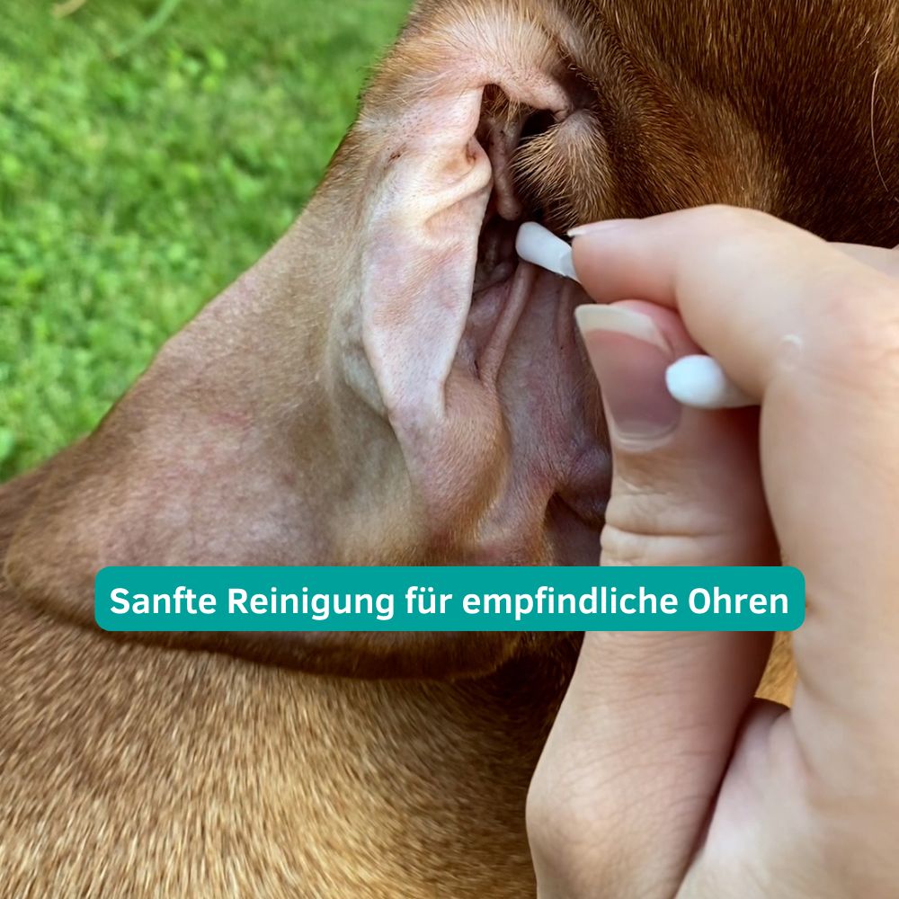 CLICswab Ohren/Augenreiniger für Hunde und Katzen