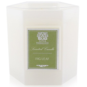 Antica Farmacista Candle - Fig Leaf  255g/9oz