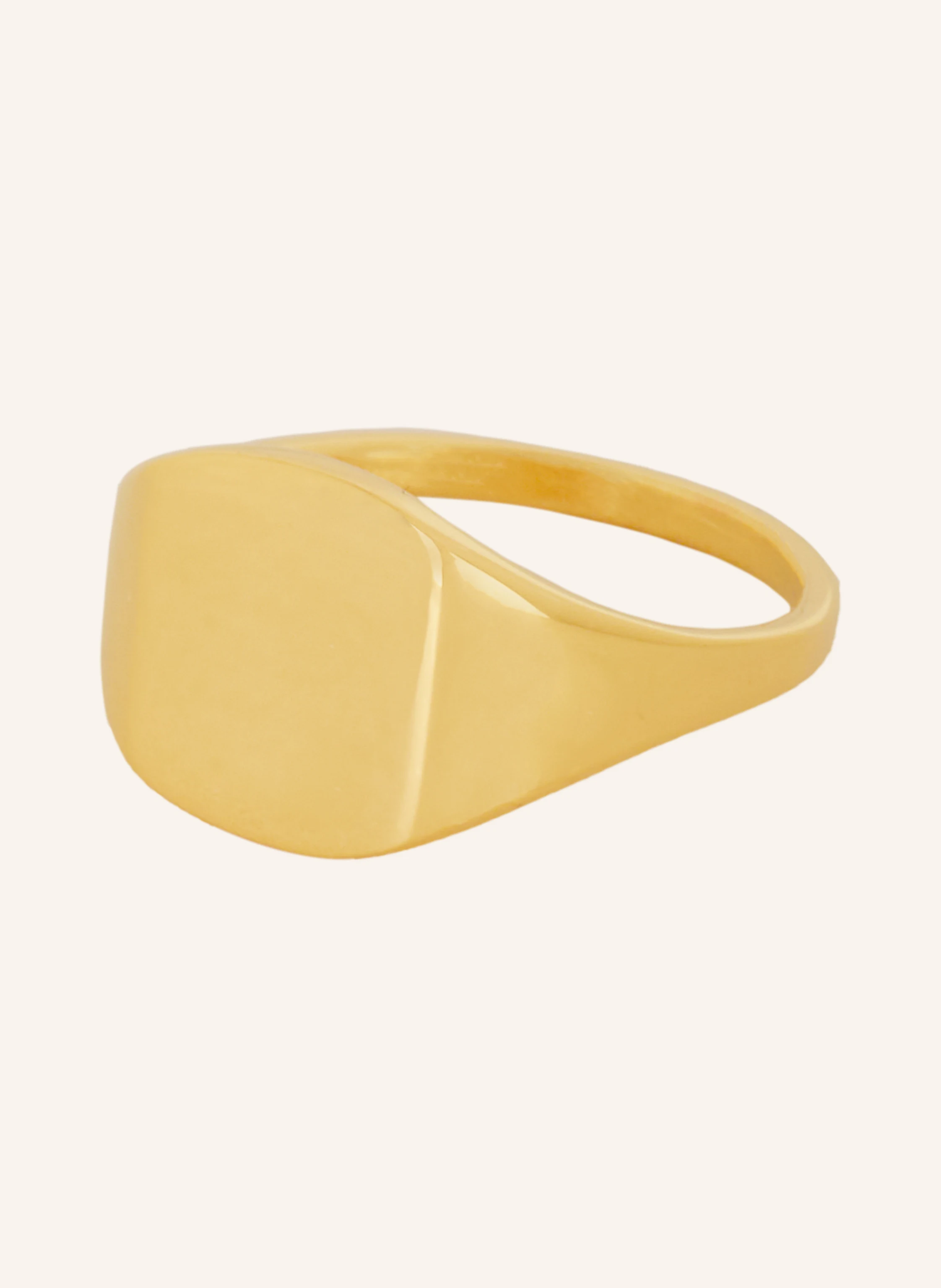 ariane ernst Ring MODERN EMBLEM