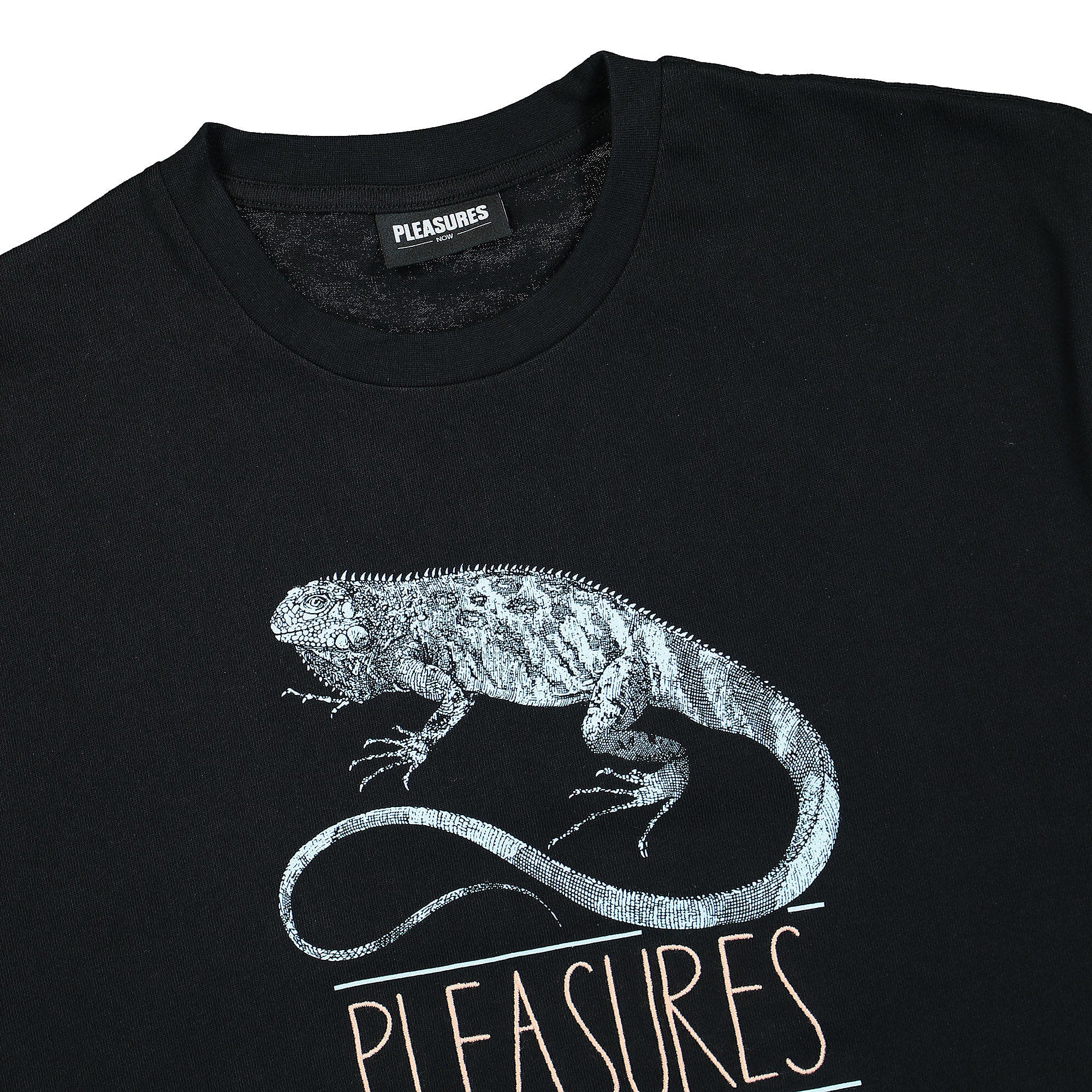 Pleasures<br>Fear Heavyweight T-Shirt