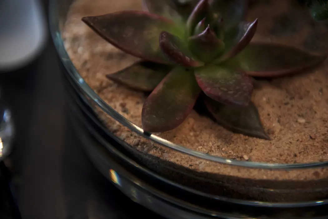 Schale Novara Ø 22,4 cm