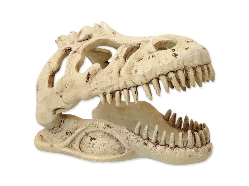 Repti Planet Dekoschädel T-Rex Künstliche Dekoration