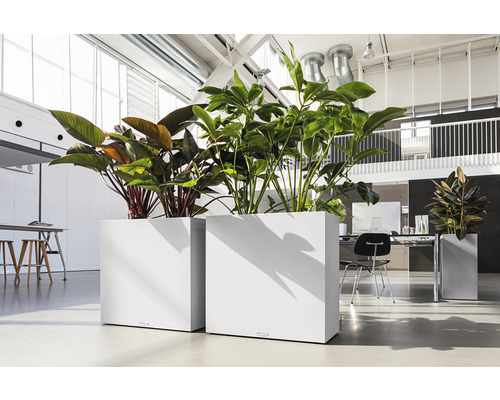 Lechuza Canto Stone kamerverdeler, 82 x 37 x 75,6 cm, kwartswit