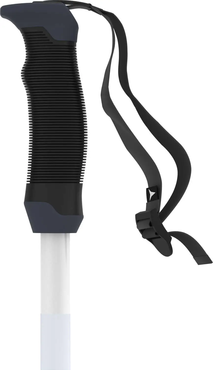 Atomic Amt SQS W Skistave | SkatePro