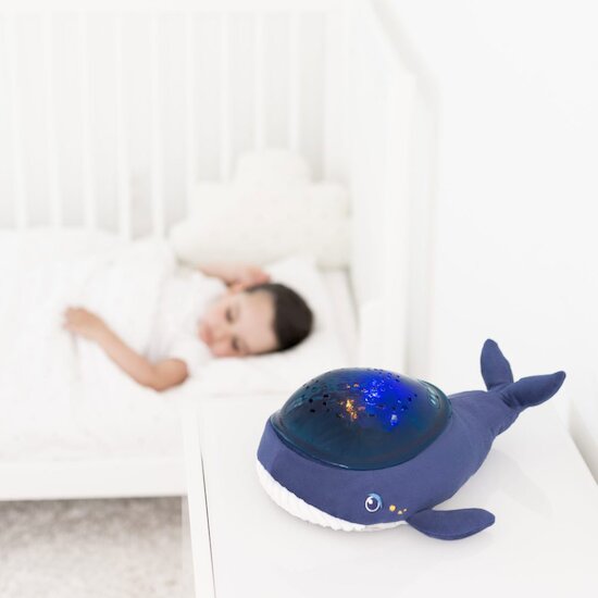 Veilleuse projecteur dynamique Baleine Aquadream   Bleu canard        de               Pabobo
