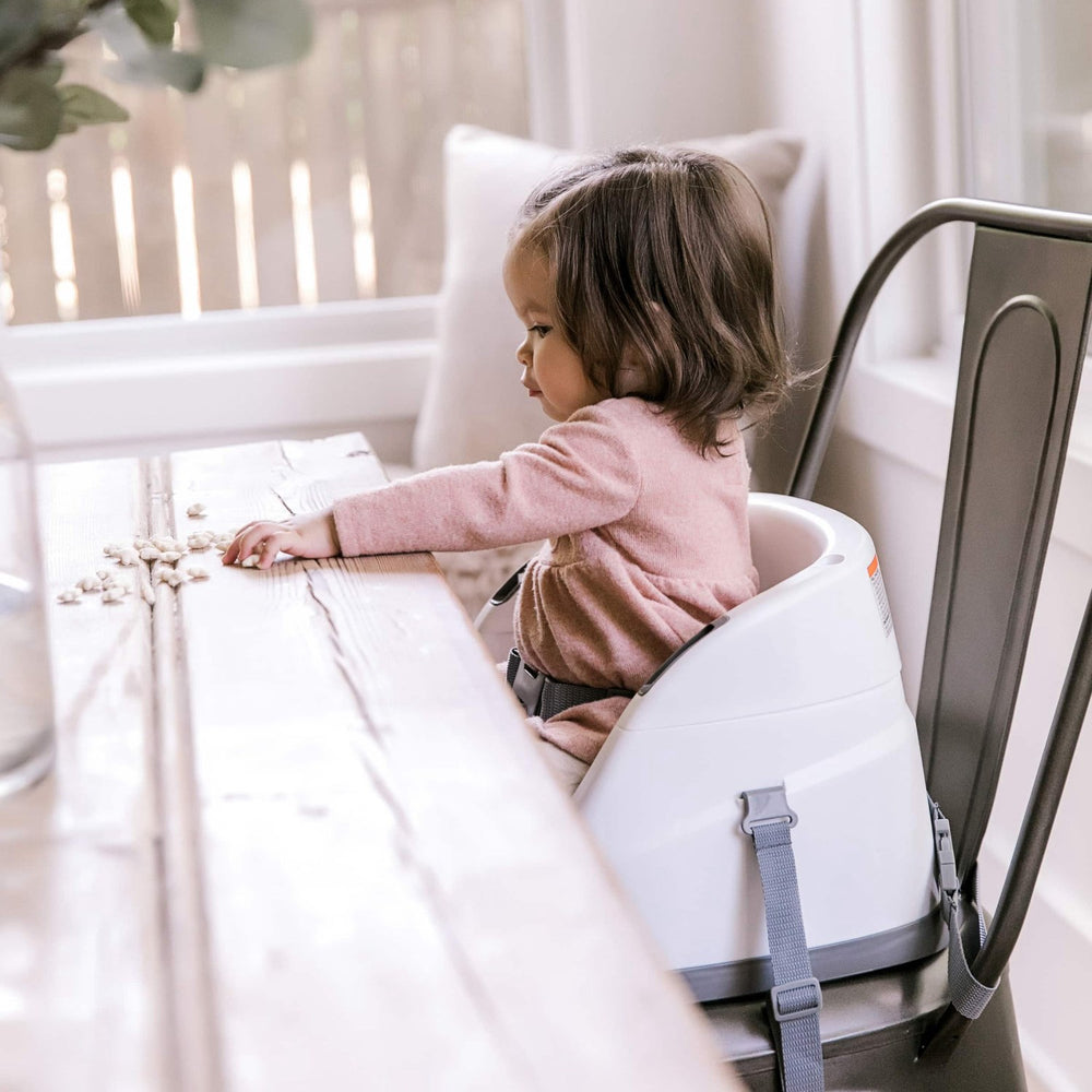 Køb Ingenuity Baby Base 2-In-1 Sæde