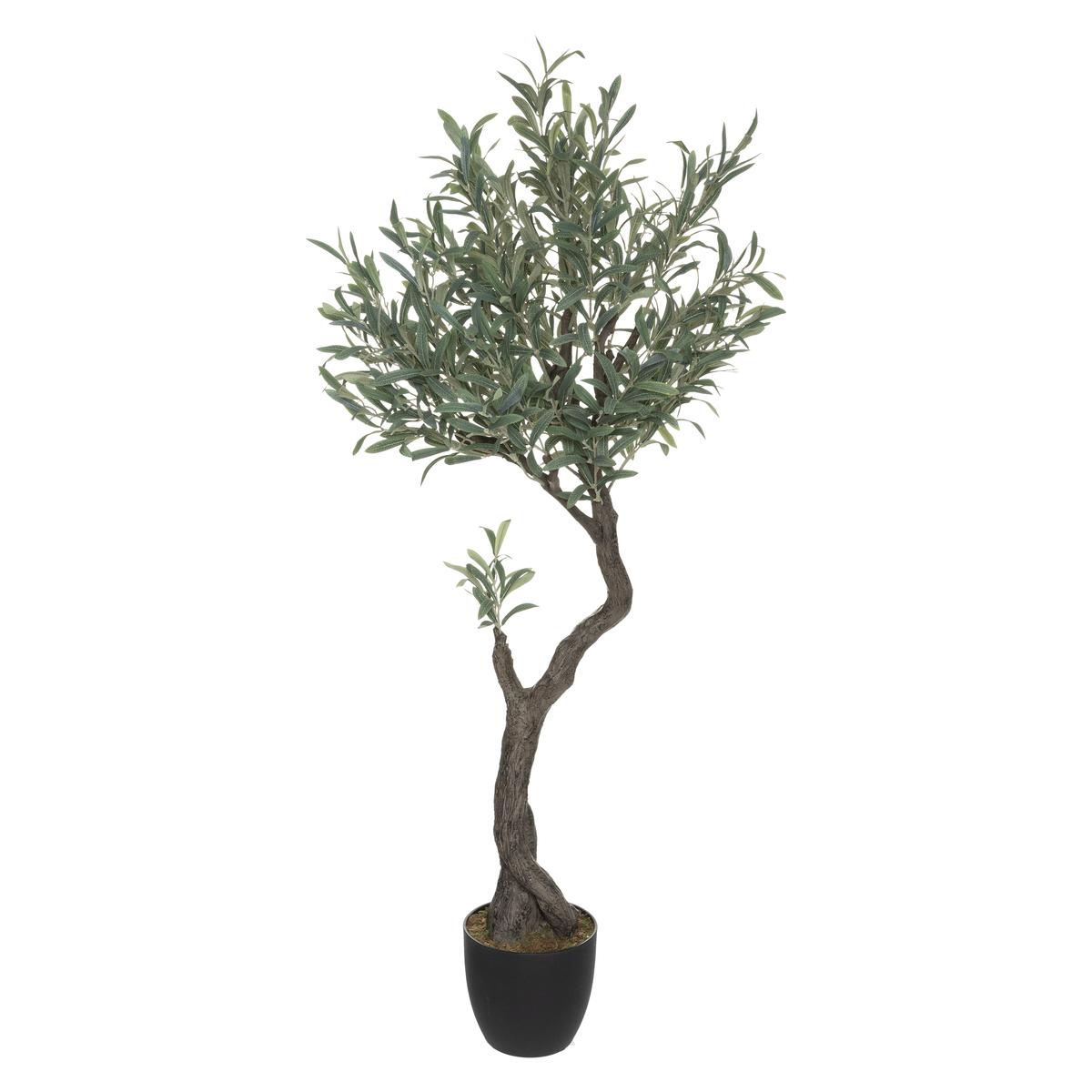OLIVIER EN POT OLIFU H.140CM