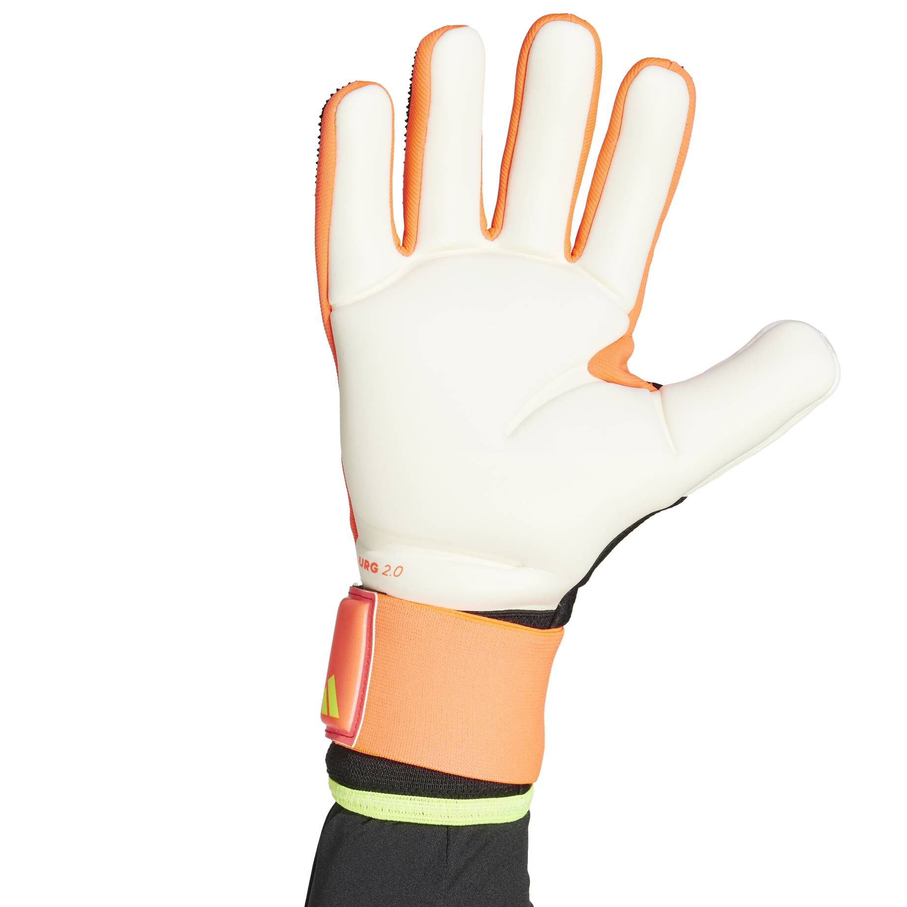 adidas Performance| Torwarthandschuhe PREDATOR GLOVES COMPETITION