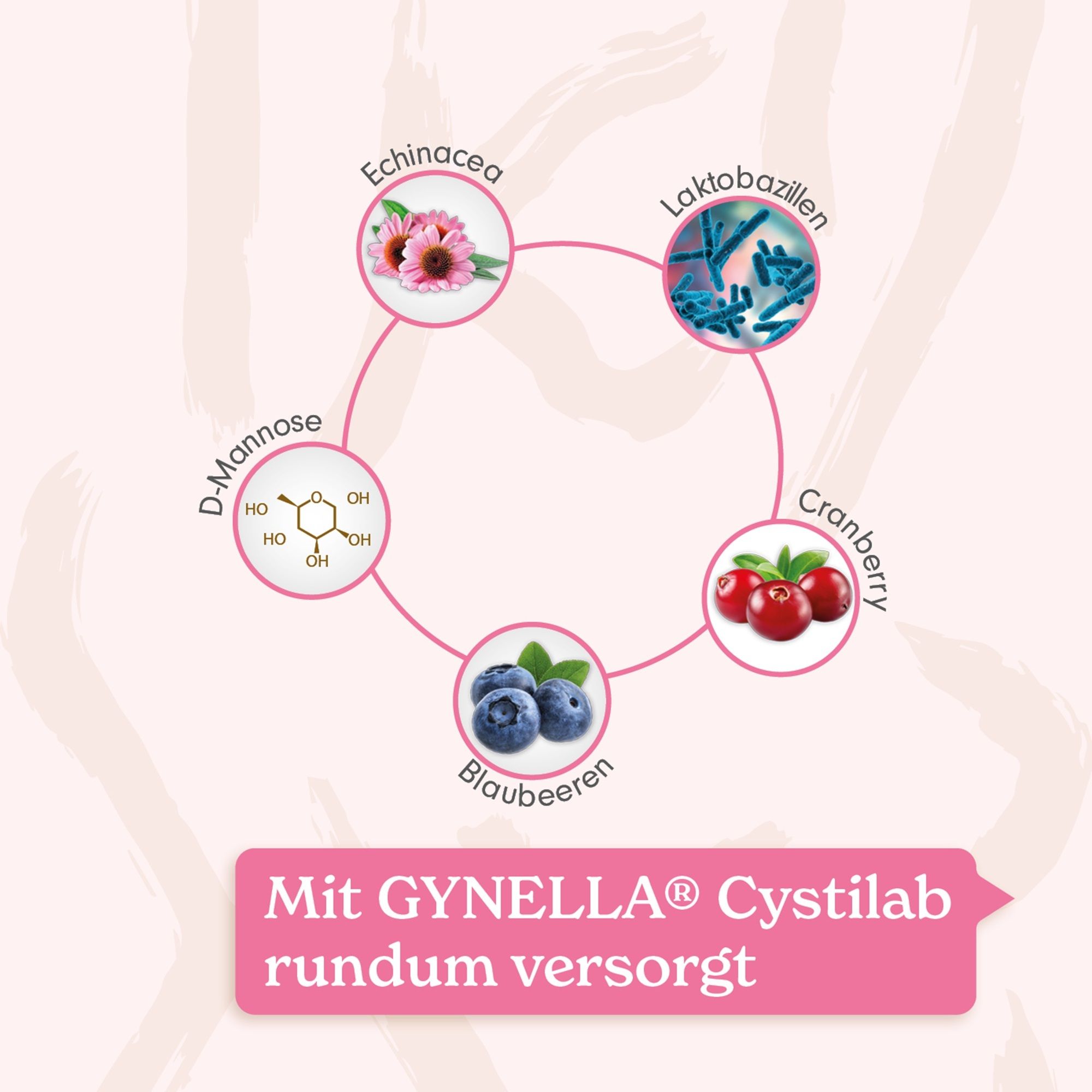 GYNELLA® Cystilab