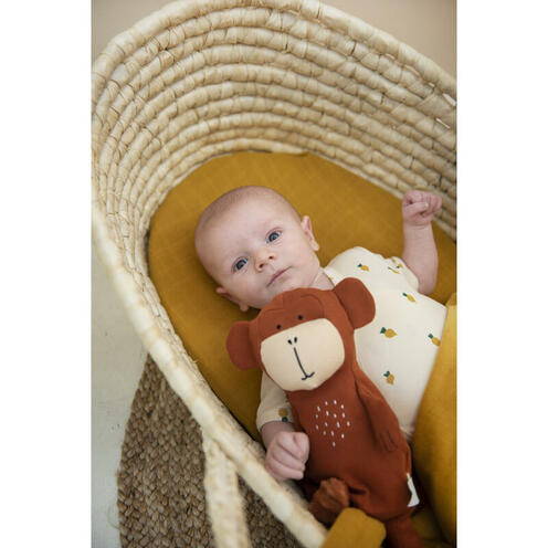 Petite Peluche - Mr Monkey - TRIXIE